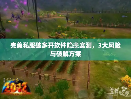 完美私服破多开软件隐患实测，3大风险与破解方案