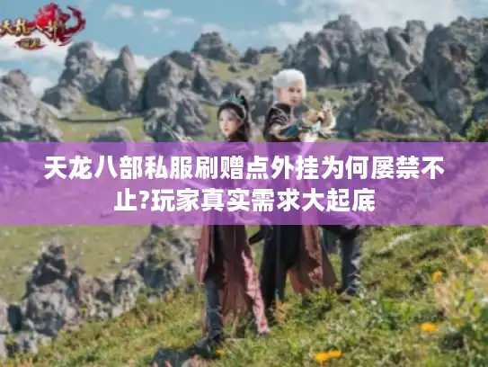 天龙八部私服刷赠点外挂为何屡禁不止?玩家真实需求大起底