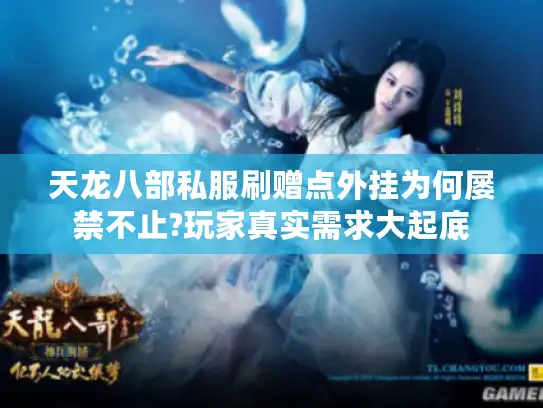 天龙八部私服刷赠点外挂为何屡禁不止?玩家真实需求大起底