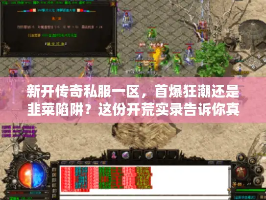 新开传奇私服一区,首爆狂潮还是韭菜陷阱?这份开荒实录告诉你真相! 新开传奇私服一区,首爆狂潮还是韭菜陷阱?这份开荒实录告诉你真相!