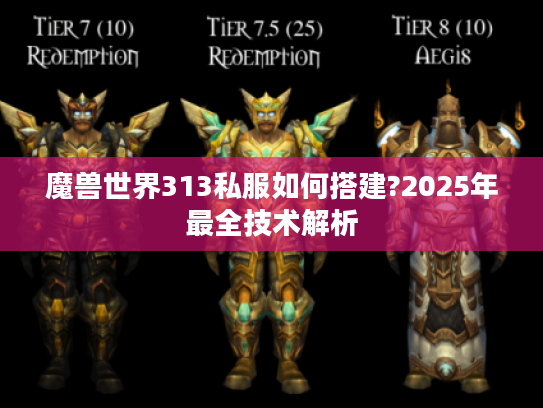 魔兽世界313私服如何搭建?2025年最全技术解析