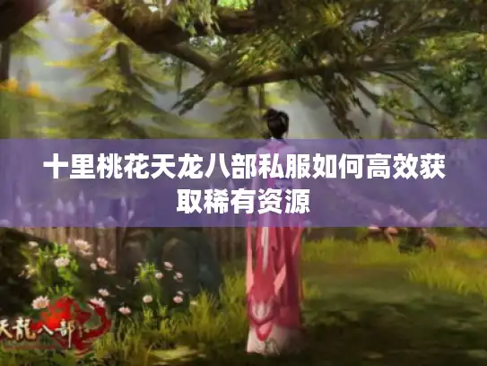 十里桃花天龙八部私服如何高效获取稀有资源