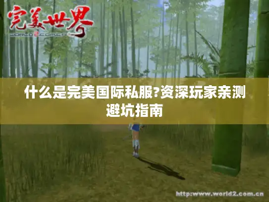 什么是完美国际私服?资深玩家亲测避坑指南 什么是完美国际私服?资深玩家亲测避坑指南