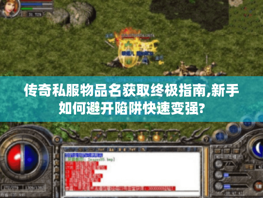传奇私服物品名获取终极指南,新手如何避开陷阱快速变强?