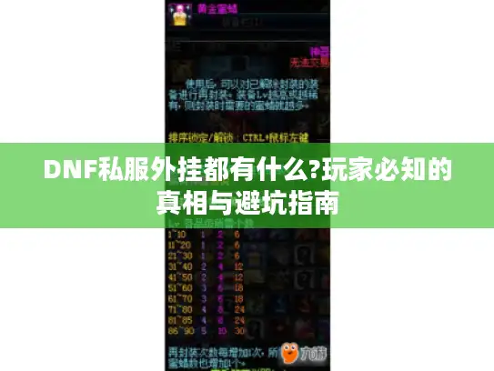 DNF私服外挂都有什么?玩家必知的真相与避坑指南