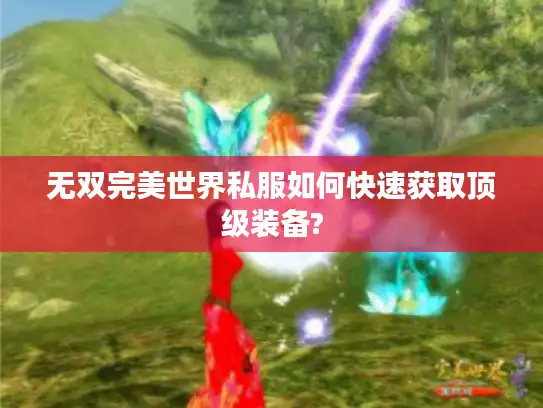 无双完美世界私服如何快速获取顶级装备? 无双完美世界私服如何快速获取顶级装备?