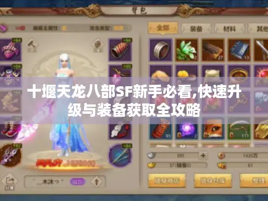 十堰天龙八部SF新手必看,快速升级与装备获取全攻略