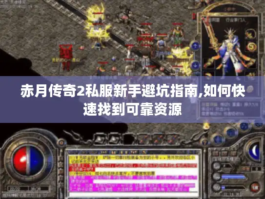 赤月传奇2私服新手避坑指南,如何快速找到可靠资源