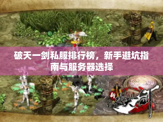 破天一剑私服排行榜,新手避坑指南与服务器选择 破天一剑私服排行榜,新手避坑指南与服务器选择