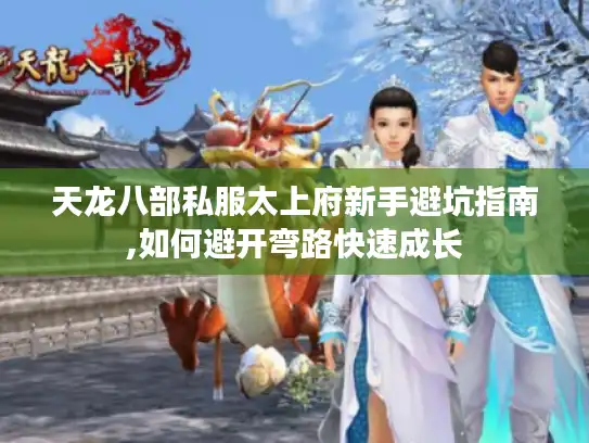 天龙八部私服太上府新手避坑指南,如何避开弯路快速成长 天龙八部私服太上府新手避坑指南,如何避开弯路快速成长