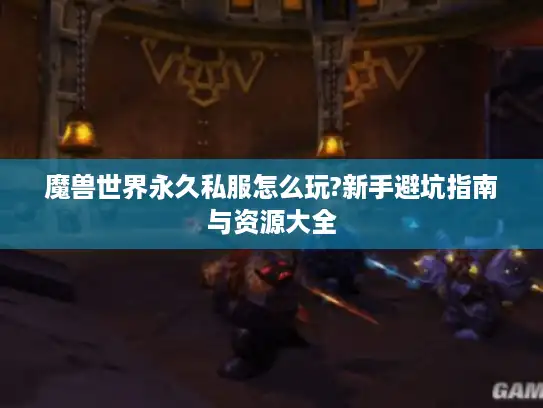 魔兽世界永久私服怎么玩?新手避坑指南与资源大全