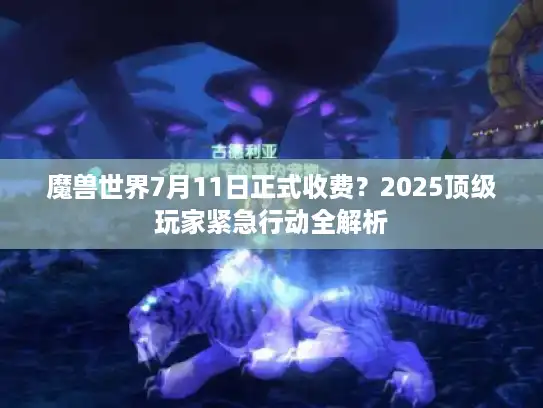 魔兽世界7月11日正式收费？2025顶级玩家紧急行动全解析