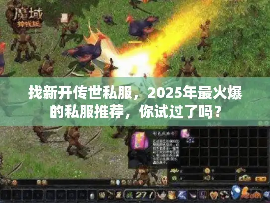 找新开传世私服，2025年最火爆的私服推荐，你试过了吗？