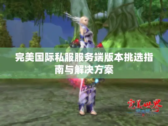 完美国际私服服务端版本挑选指南与解决方案