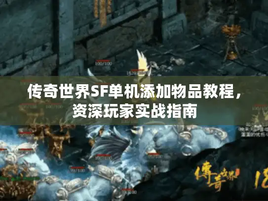 传奇世界SF单机添加物品教程，资深玩家实战指南