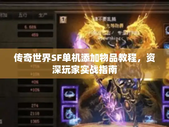 传奇世界SF单机添加物品教程，资深玩家实战指南