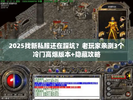 2025找新私服还在踩坑？老玩家亲测3个冷门高爆版本+隐藏攻略