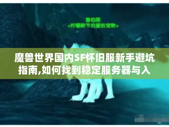 魔兽世界国内SF怀旧服新手避坑指南,如何找到稳定服务器与入门资源?