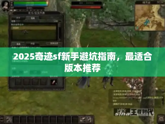 2025奇迹sf新手避坑指南，最适合版本推荐