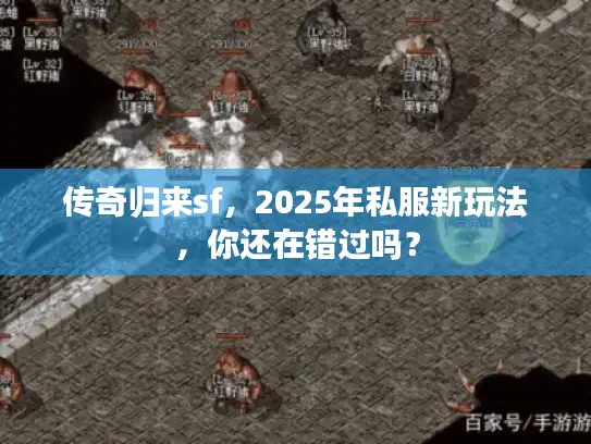 传奇归来sf，2025年私服新玩法，你还在错过吗？