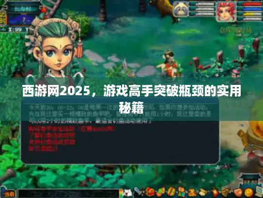 西游网2025，游戏高手突破瓶颈的实用秘籍