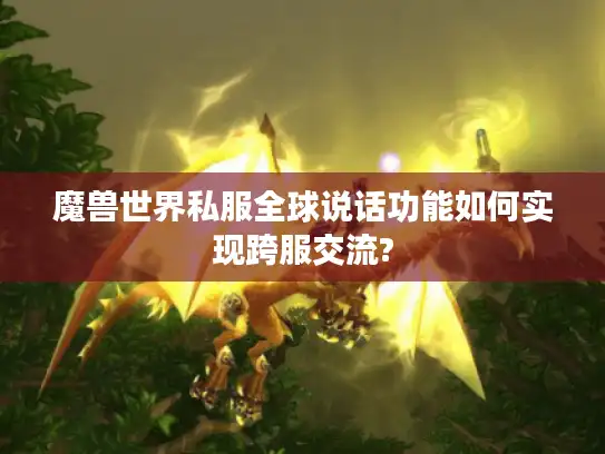 魔兽世界私服全球说话功能如何实现跨服交流?