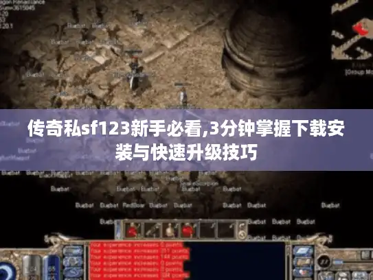 传奇私sf123新手必看,3分钟掌握下载安装与快速升级技巧