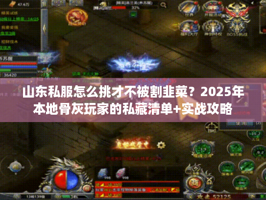 山东私服怎么挑才不被割韭菜?2025年本地骨灰玩家的私藏清单+实战攻略 山东私服怎么挑才不被割韭菜?2025年本地骨灰玩家的私藏清单+实战攻略