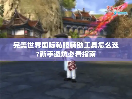 完美世界国际私服辅助工具怎么选?新手避坑必看指南