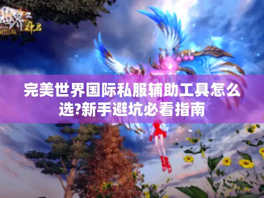 完美世界国际私服辅助工具怎么选?新手避坑必看指南