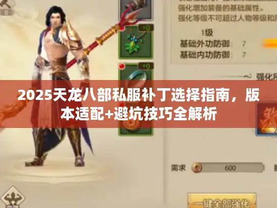 2025天龙八部私服补丁选择指南，版本适配+避坑技巧全解析