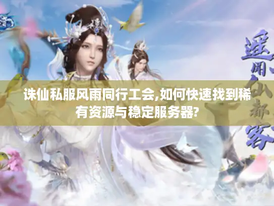 诛仙私服风雨同行工会,如何快速找到稀有资源与稳定服务器?