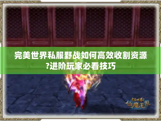 完美世界私服野战如何高效收割资源?进阶玩家必看技巧