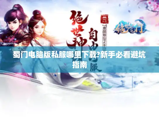 蜀门电脑版私服哪里下载?新手必看避坑指南
