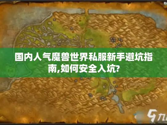 国内人气魔兽世界私服新手避坑指南,如何安全入坑?