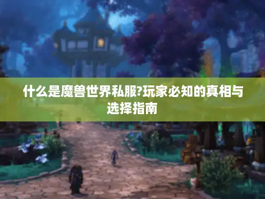 什么是魔兽世界私服?玩家必知的真相与选择指南