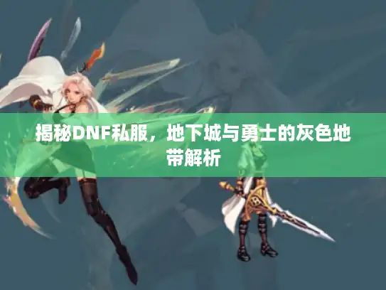 揭秘DNF私服,地下城与勇士的灰色地带解析 揭秘DNF私服,地下城与勇士的灰色地带解析
