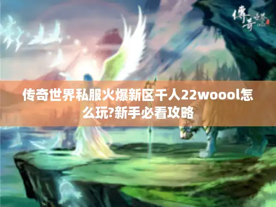 传奇世界私服火爆新区千人22woool怎么玩?新手必看攻略