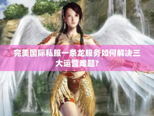 完美国际私服一条龙服务如何解决三大运营难题? 完美国际私服一条龙服务如何解决三大运营难题?