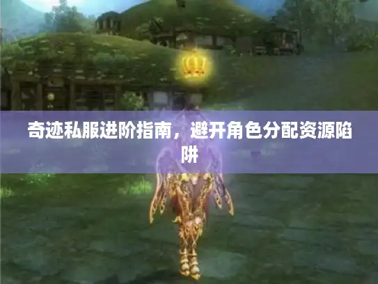 奇迹私服进阶指南，避开角色分配资源陷阱