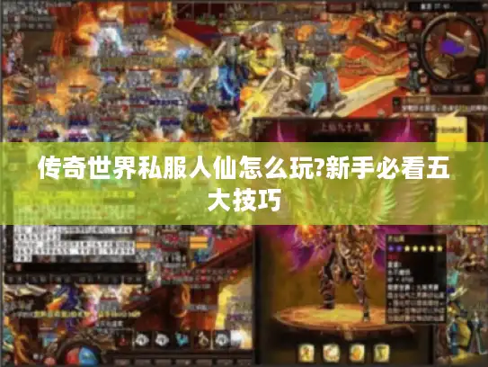 传奇世界私服人仙怎么玩?新手必看五大技巧