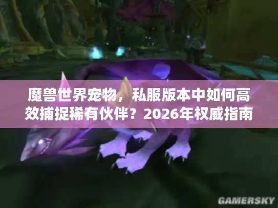 魔兽世界宠物，私服版本中如何高效捕捉稀有伙伴？2026年权威指南