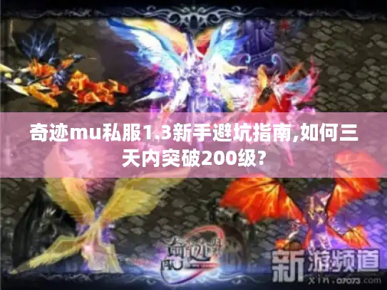 奇迹mu私服1.3新手避坑指南,如何三天内突破200级?
