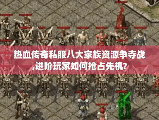 热血传奇私服八大家族资源争夺战,进阶玩家如何抢占先机?