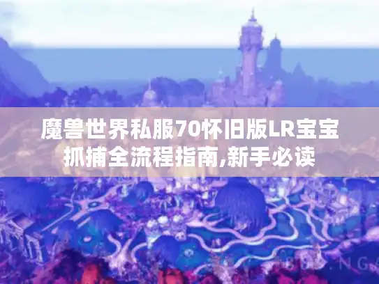 魔兽世界私服70怀旧版LR宝宝抓捕全流程指南,新手必读