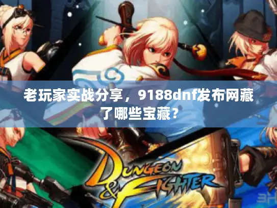 老玩家实战分享，9188dnf发布网藏了哪些宝藏？