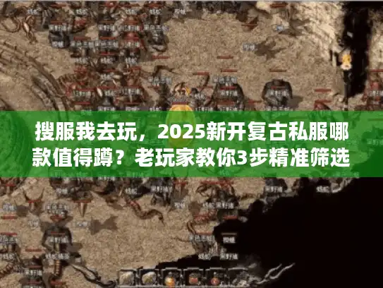 搜服我去玩，2025新开复古私服哪款值得蹲？老玩家教你3步精准筛选
