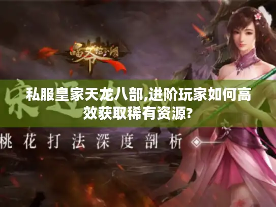 私服皇家天龙八部,进阶玩家如何高效获取稀有资源?