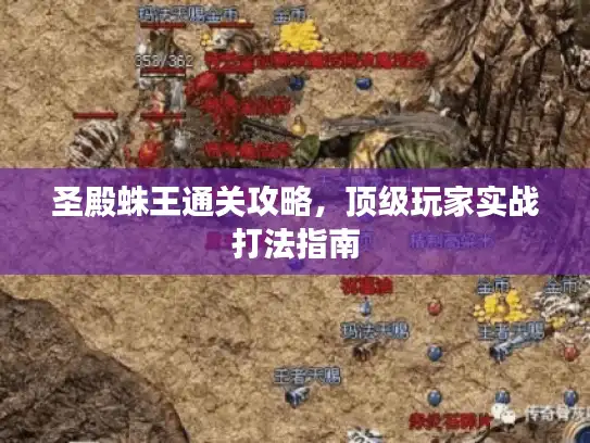 圣殿蛛王通关攻略，顶级玩家实战打法指南