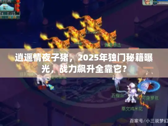 逍遥情夜子猪，2025年独门秘籍曝光，战力飙升全靠它？